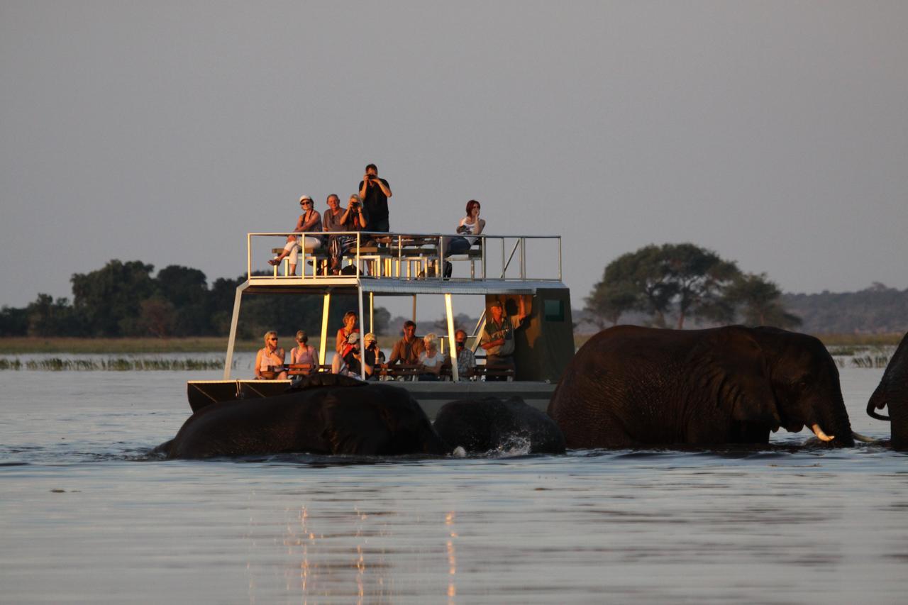 Chobe River Camp Ngoma المظهر الخارجي الصورة