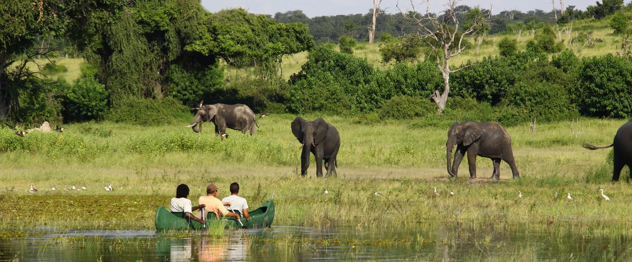 Chobe River Camp Ngoma المظهر الخارجي الصورة